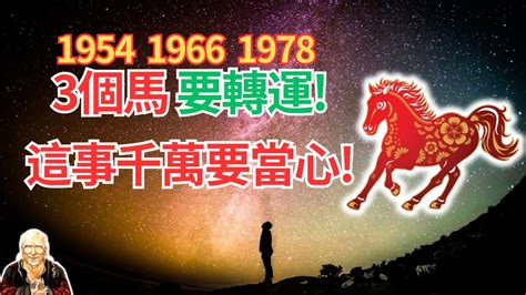 1978生肖馬